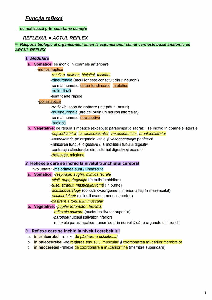 --- OCR Start ---
Alcătuirea Corpului Uman
Corpul uman este alcătuit din 4 segmente:
1. Capul
→neurocraniul (cutia craniană)
→viscerocraniul