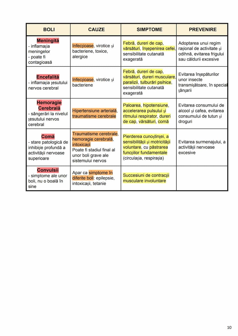 --- OCR Start ---
Alcătuirea Corpului Uman
Corpul uman este alcătuit din 4 segmente:
1. Capul
→neurocraniul (cutia craniană)
→viscerocraniul