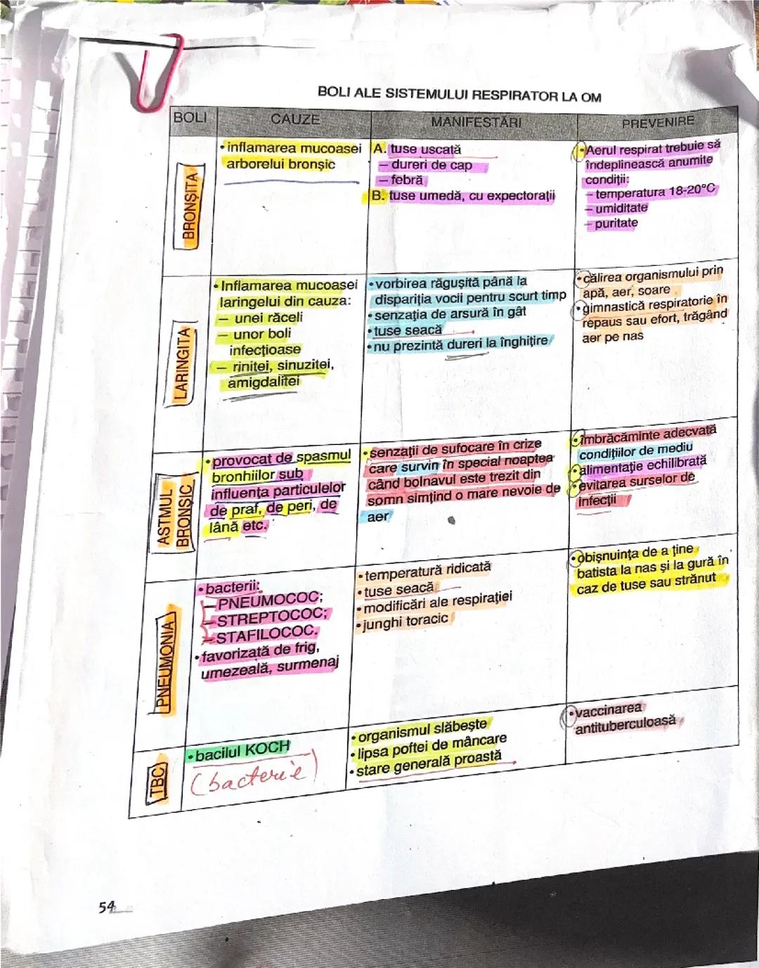 Boli ale sistemului respirator la om 