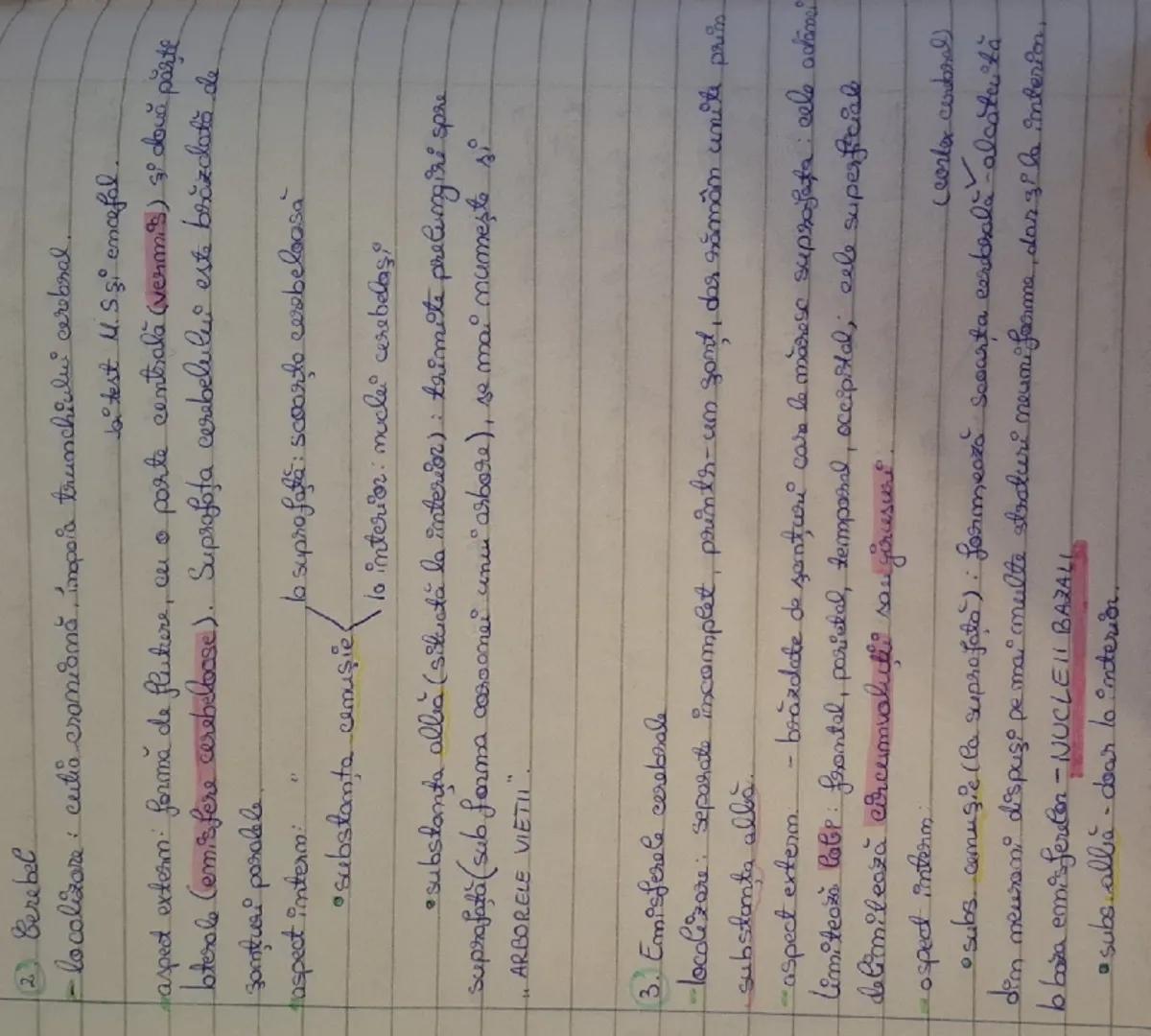 Encefalul

Encefalul: componentă a S. N central
- localizat şi protejat de cutia cromionă.
Encefalul este alcătuit din :
1 Trunchiul cerebra