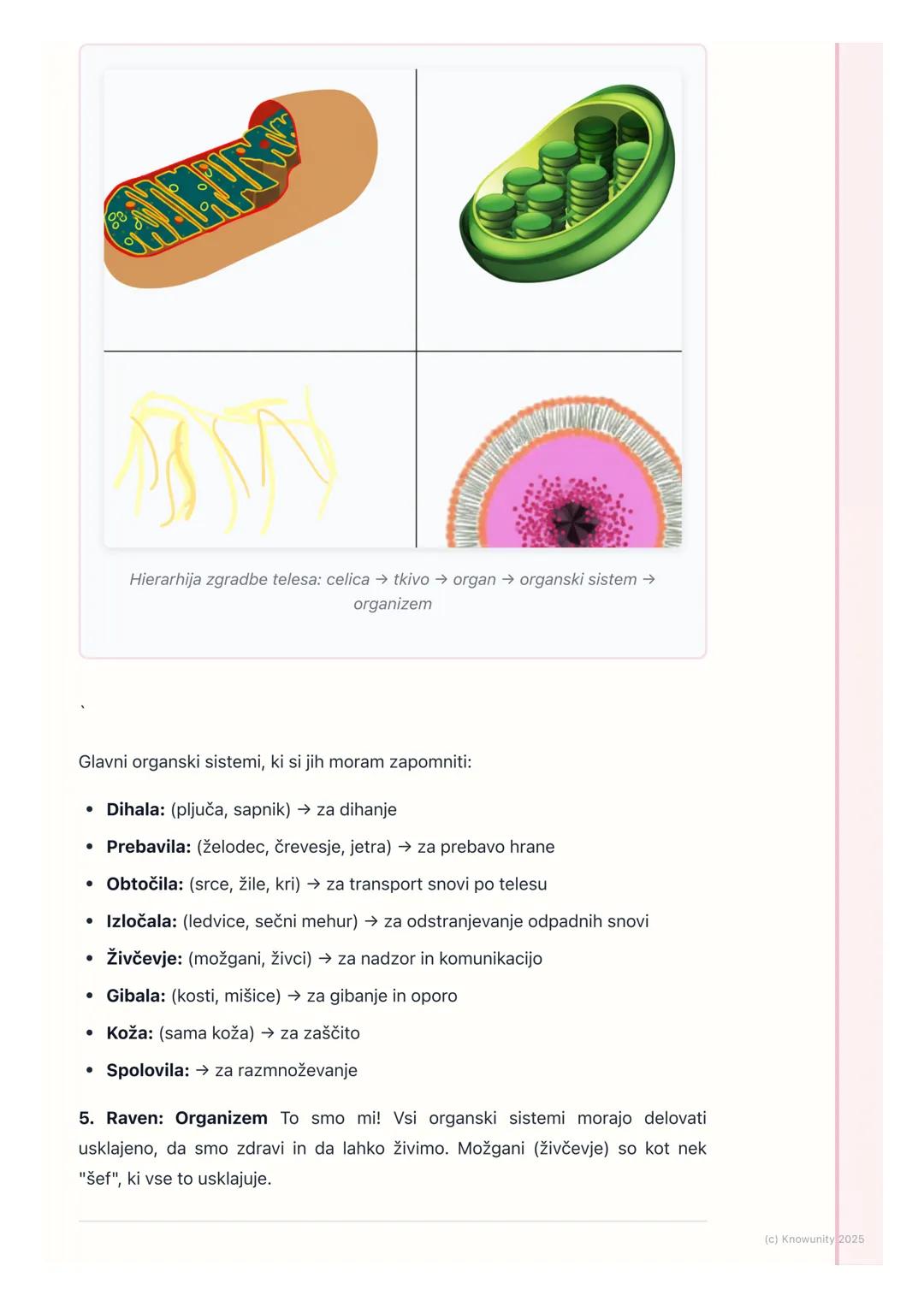 # Zgradba človeškega telesa

Uvod v zgradbo telesa

Naše telo je zelo zapleteno, ampak je zgrajeno po logičnem vrstnem redu,
podobno kot hiš
