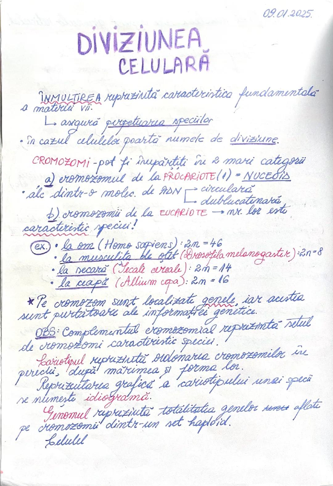 diviziunea celulara 🧬