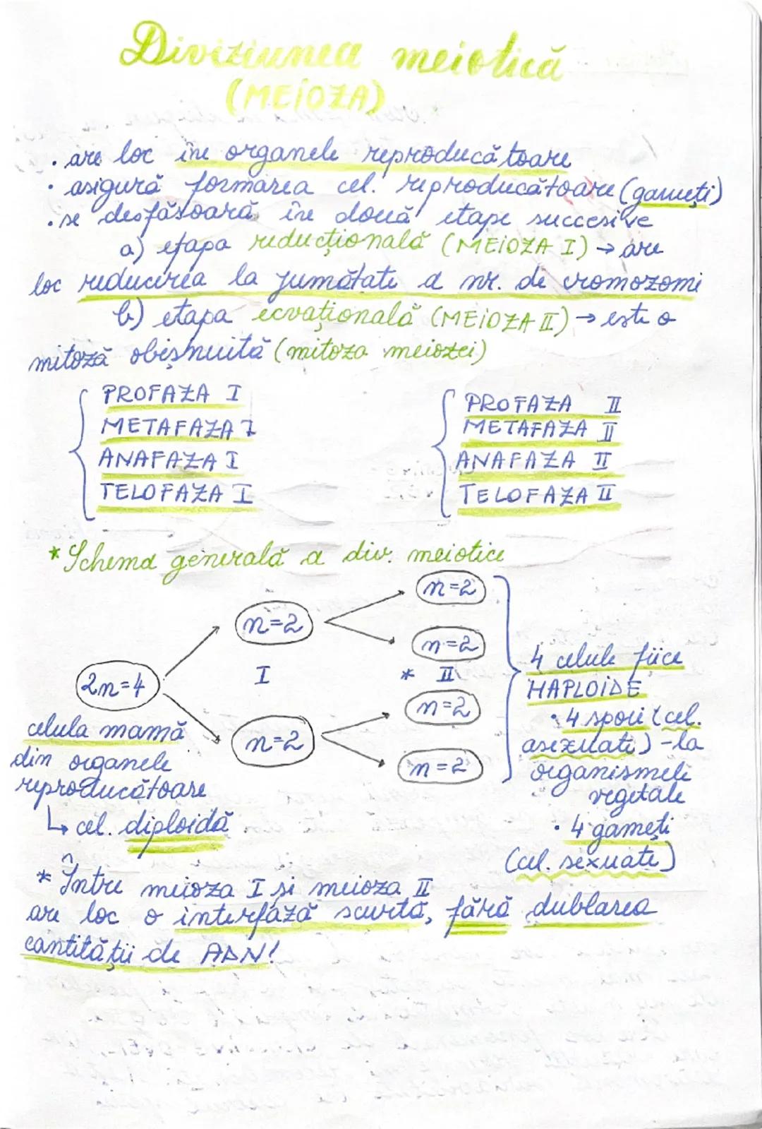 # DIVIZIUNEA
# CELULARĂ
09.01.2025.
*ÎNMULȚIREA reprezintă caracteristica fundamentală
a materiei vii.
→ asigură perpetuarea speciilor
• în 