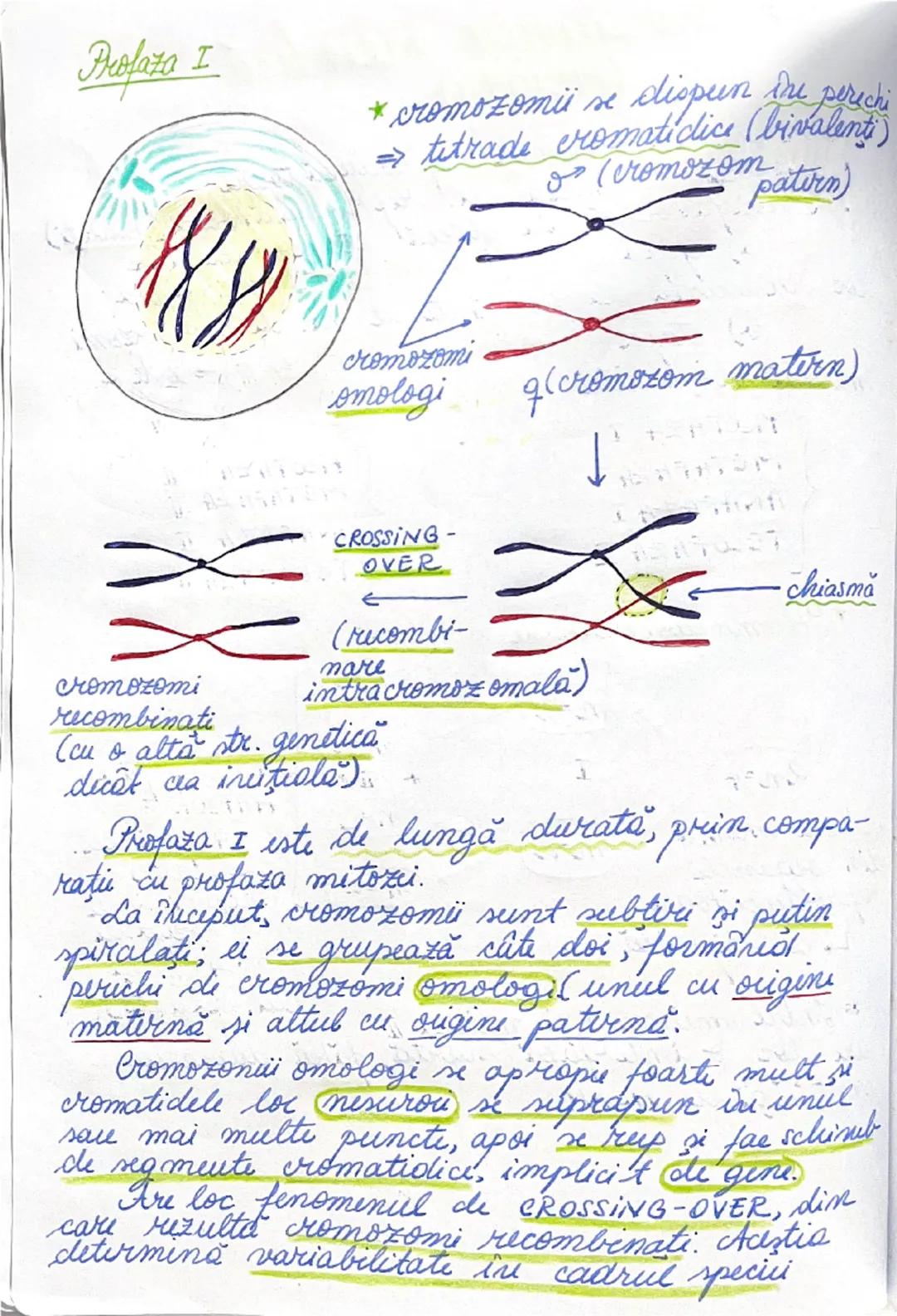 # DIVIZIUNEA
# CELULARĂ
09.01.2025.
*ÎNMULȚIREA reprezintă caracteristica fundamentală
a materiei vii.
→ asigură perpetuarea speciilor
• în 