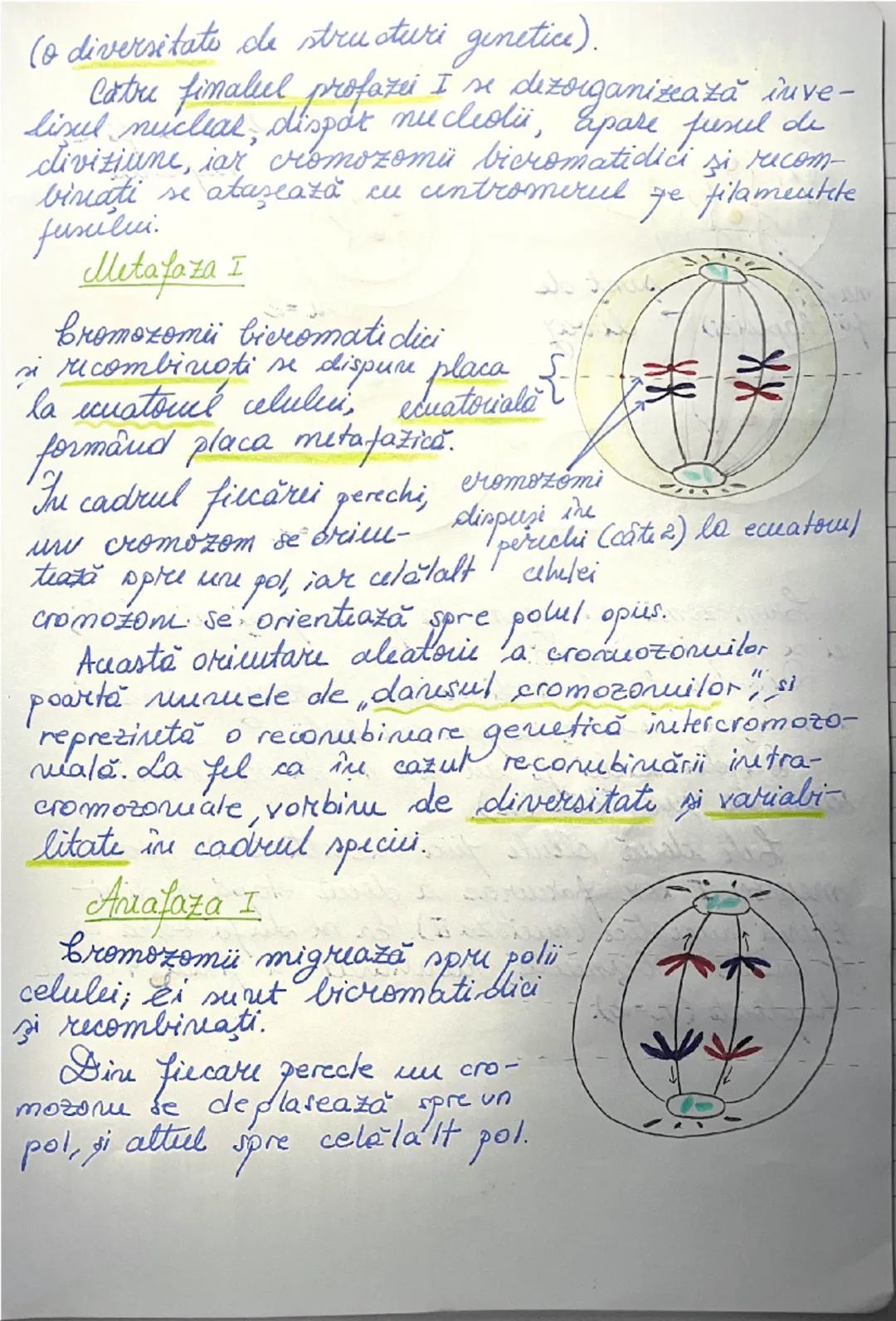 # DIVIZIUNEA
# CELULARĂ
09.01.2025.
*ÎNMULȚIREA reprezintă caracteristica fundamentală
a materiei vii.
→ asigură perpetuarea speciilor
• în 