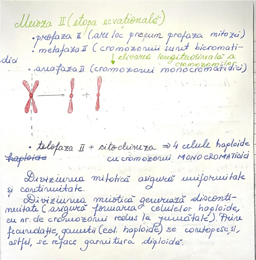 # DIVIZIUNEA
# CELULARĂ
09.01.2025.
*ÎNMULȚIREA reprezintă caracteristica fundamentală
a materiei vii.
→ asigură perpetuarea speciilor
• în 