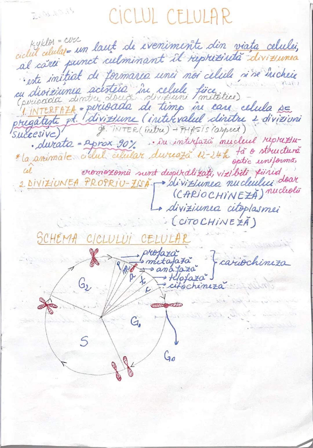# DIVIZIUNEA
# CELULARĂ
09.01.2025.
*ÎNMULȚIREA reprezintă caracteristica fundamentală
a materiei vii.
→ asigură perpetuarea speciilor
• în 