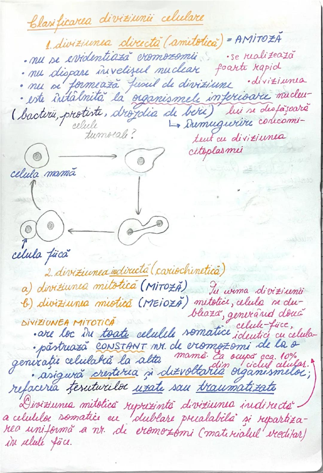 # DIVIZIUNEA
# CELULARĂ
09.01.2025.
*ÎNMULȚIREA reprezintă caracteristica fundamentală
a materiei vii.
→ asigură perpetuarea speciilor
• în 