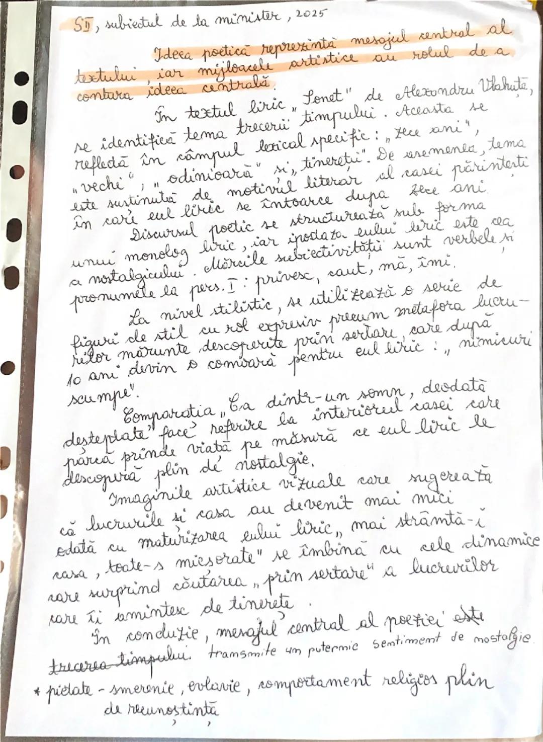 Ideea Poetică în Opera Lirică