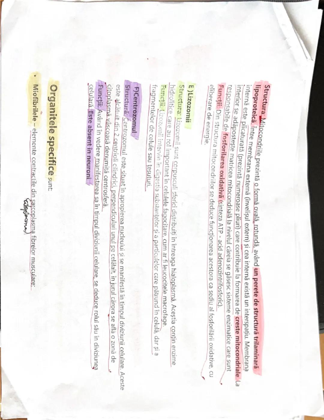 --- OCR Start ---
Celula
strictWda
Celula reprezintă unitatea de baza (fundamentala) morfo-funcţională și genetică a organizării
materiei vi