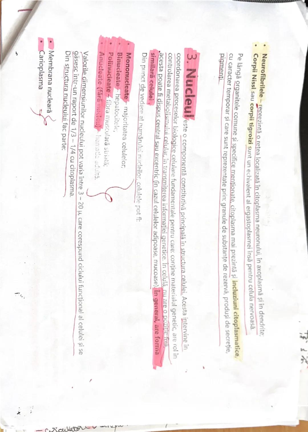 --- OCR Start ---
Celula
strictWda
Celula reprezintă unitatea de baza (fundamentala) morfo-funcţională și genetică a organizării
materiei vi