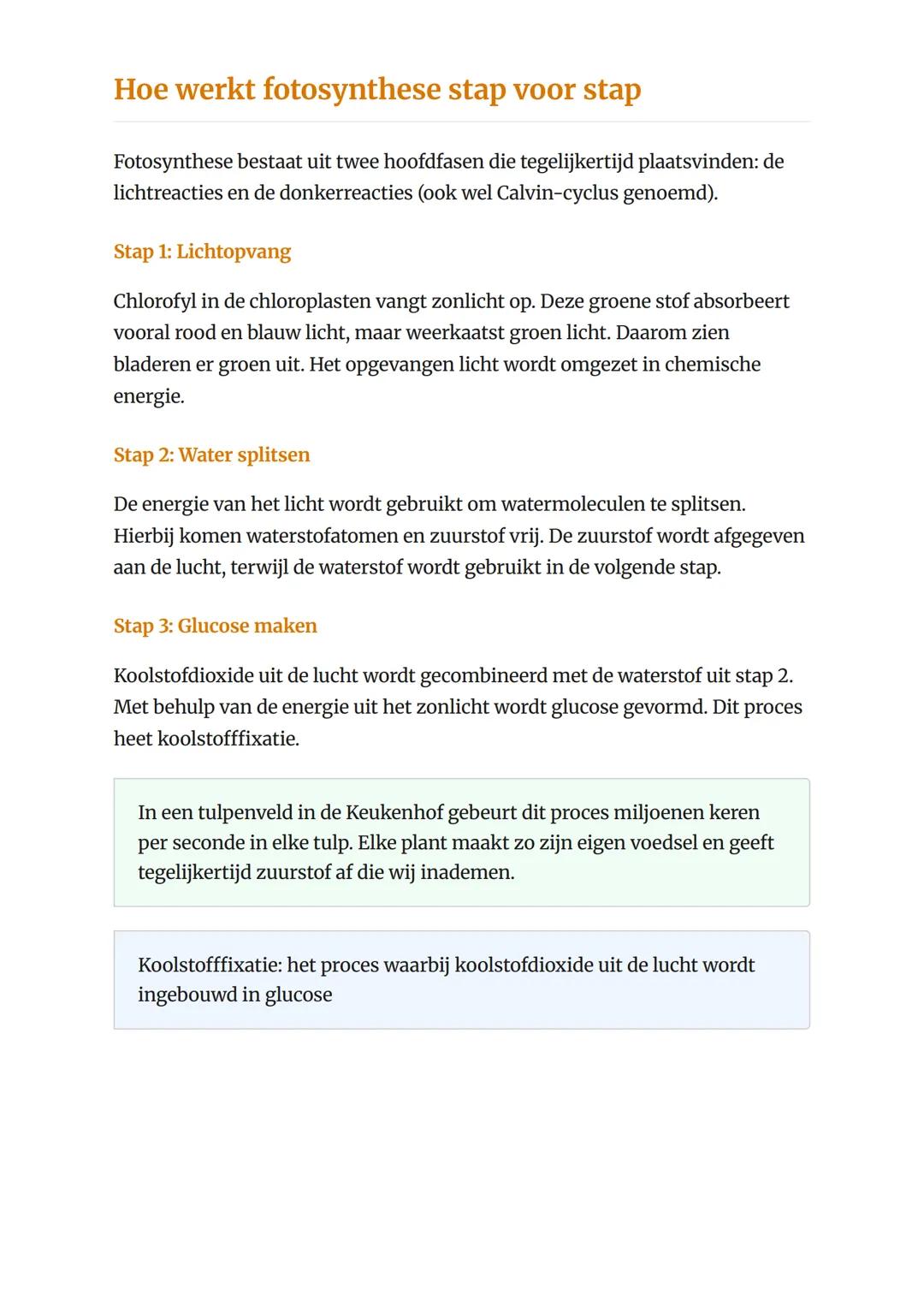 Fotosynthese: processen en
belang voor het leven op aarde
Hoe planten licht omzetten in voedsel en waarom dit essentieel is
Biologie - Grade