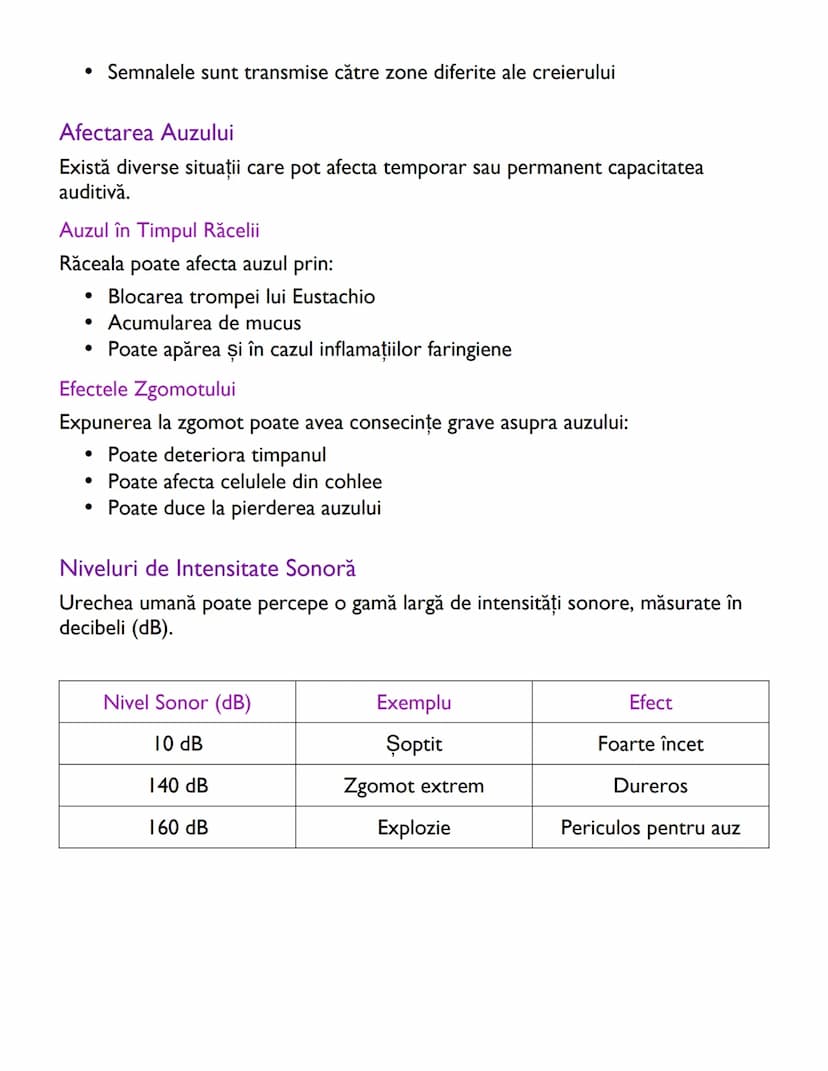 # Anatomia și Funcționarea Urechii
Umane

# Dezvoltarea Auzului la Făt
Dezvoltarea auzului începe încă din perioada prenatală, fiind un proc