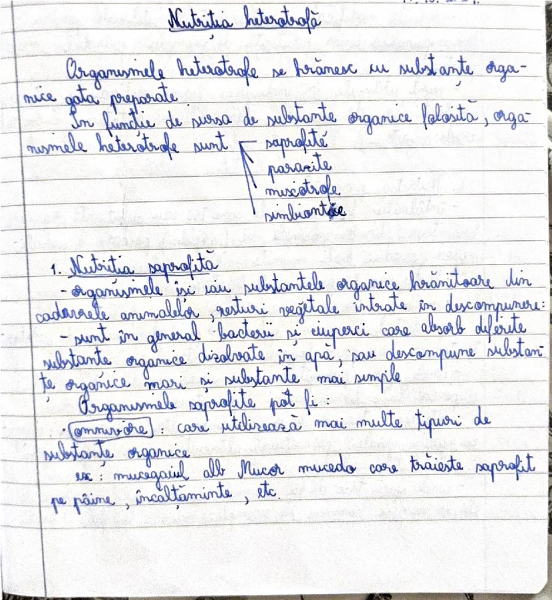 Nutriția heterotrofă