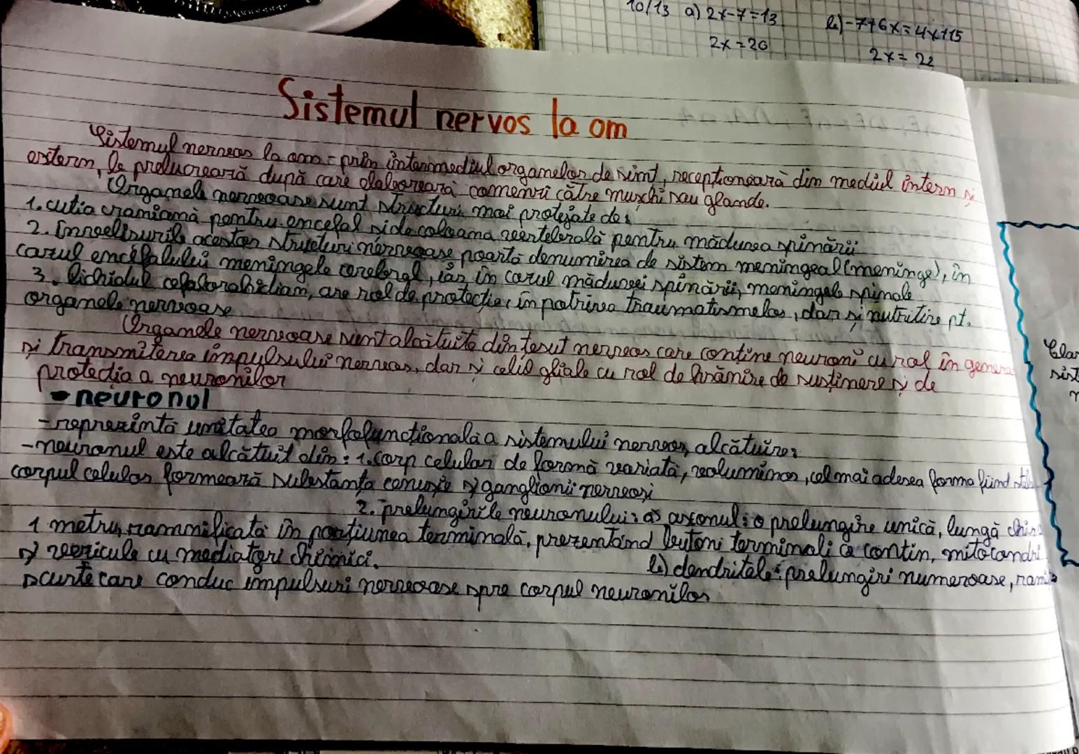 Clasificarea
sistemului
nervos

Din punct de
vedere
topografic

Din punct de
vedere
functional

Sistem nervos
central
(nererax)

Sistem nerv