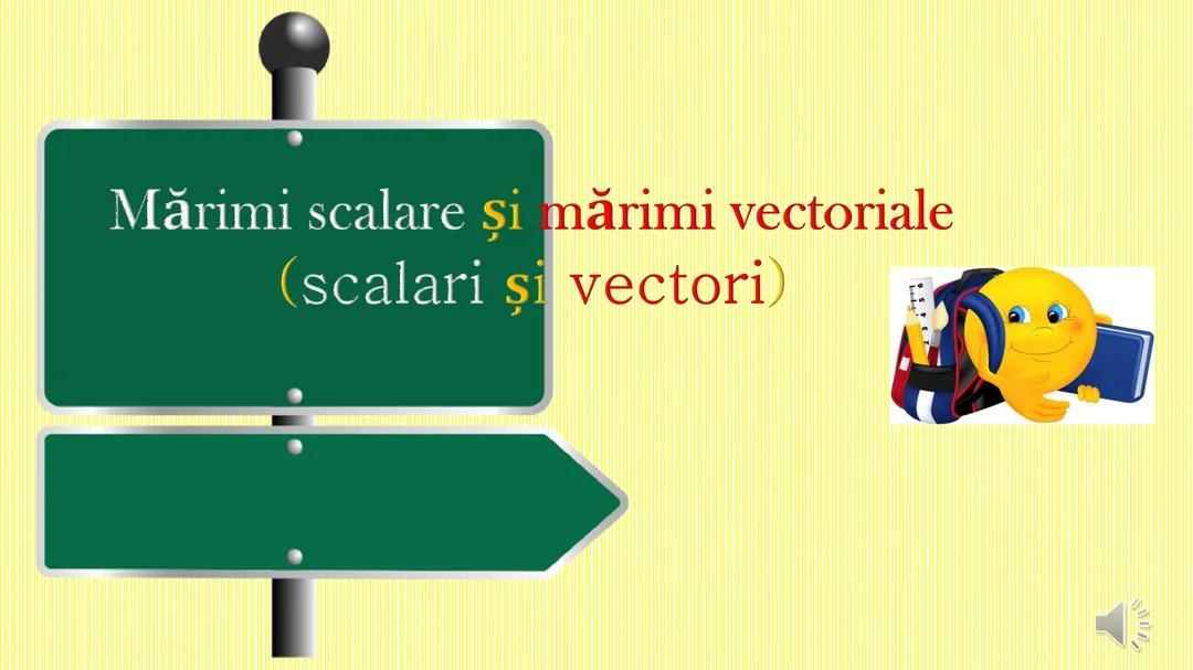 Marimi sclare si marimi vectoriale 