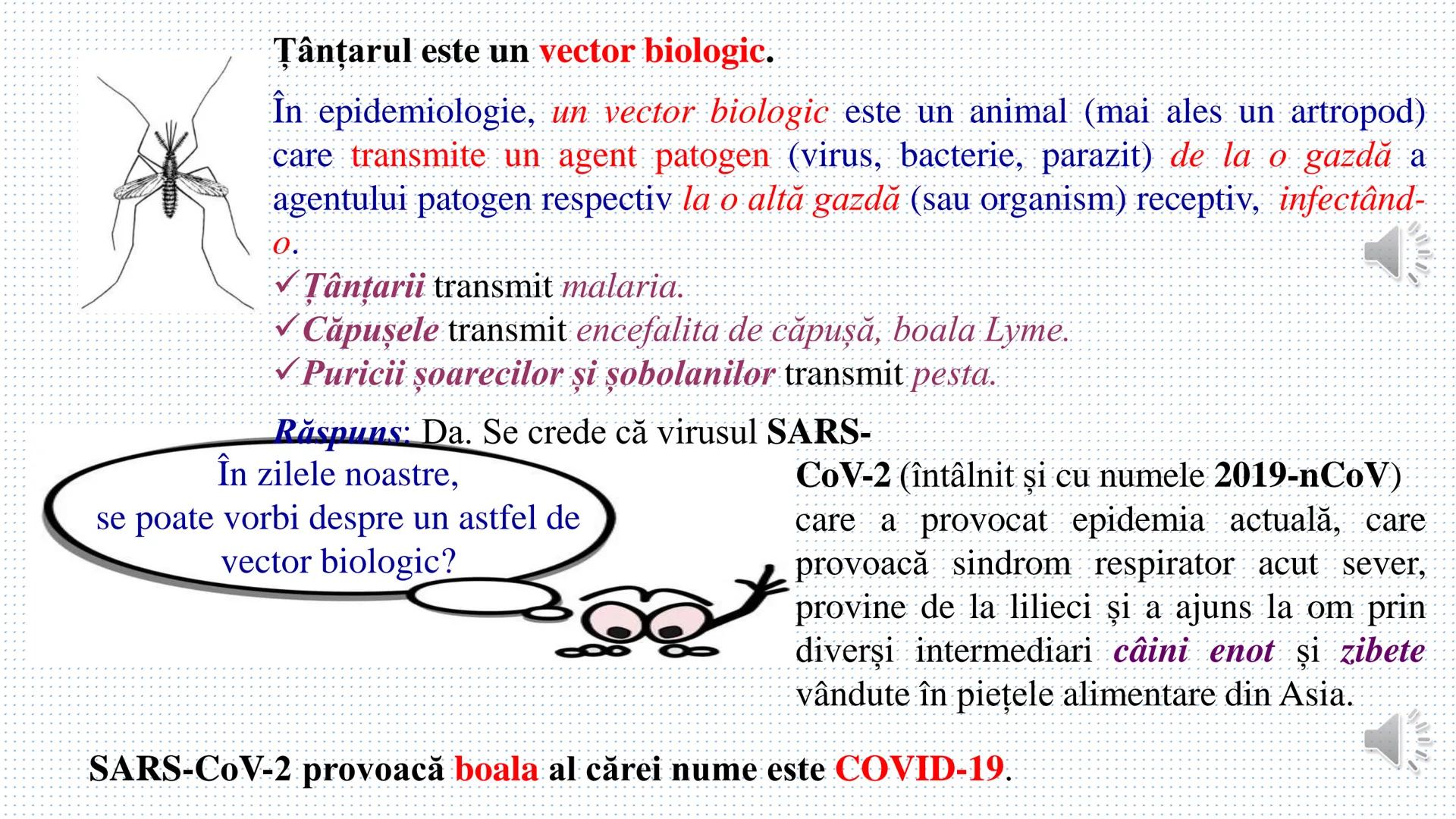 # Mărimi scalare și mărimi vectoriale
(scalari și vectori) --- OCR Start ---
Ce mărimi fizice identifici privind imaginile?
32kg
+
POWER
24.