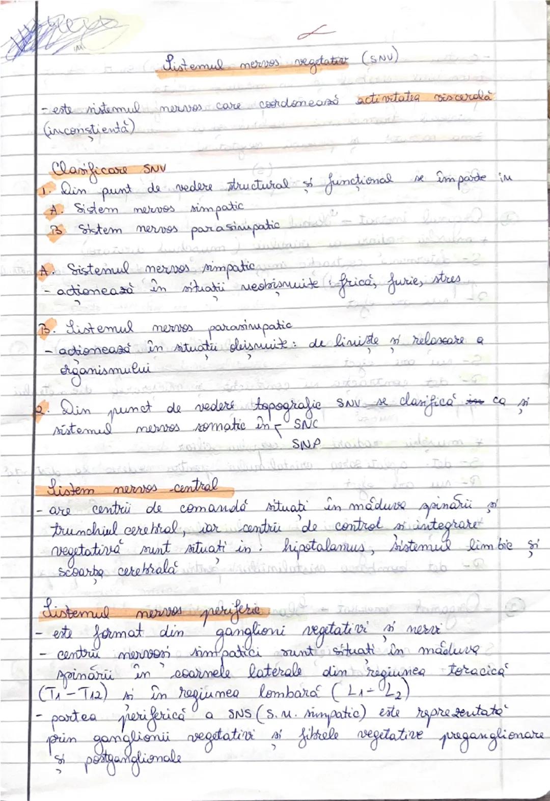 Listemul
mervos vegetateat (SNV)
- este sistemul nervos care coordonează activitatea viscerală
(inconstienta)

Clasificare SNV
1. Din punt d