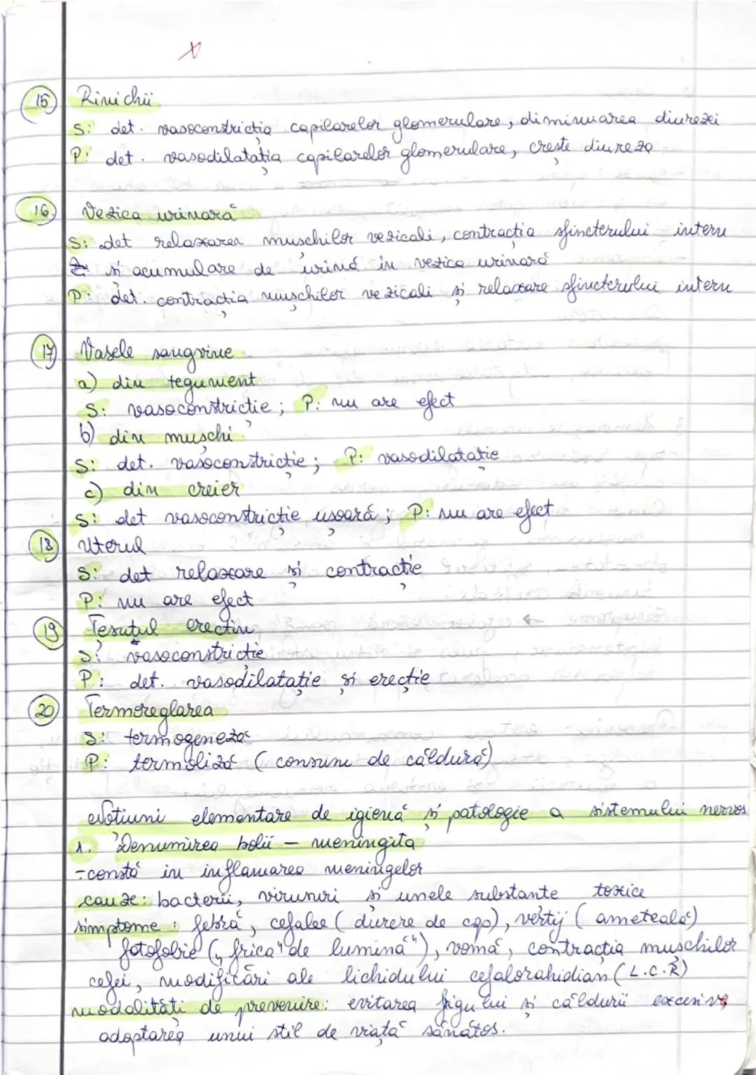 Listemul
mervos vegetateat (SNV)
- este sistemul nervos care coordonează activitatea viscerală
(inconstienta)

Clasificare SNV
1. Din punt d