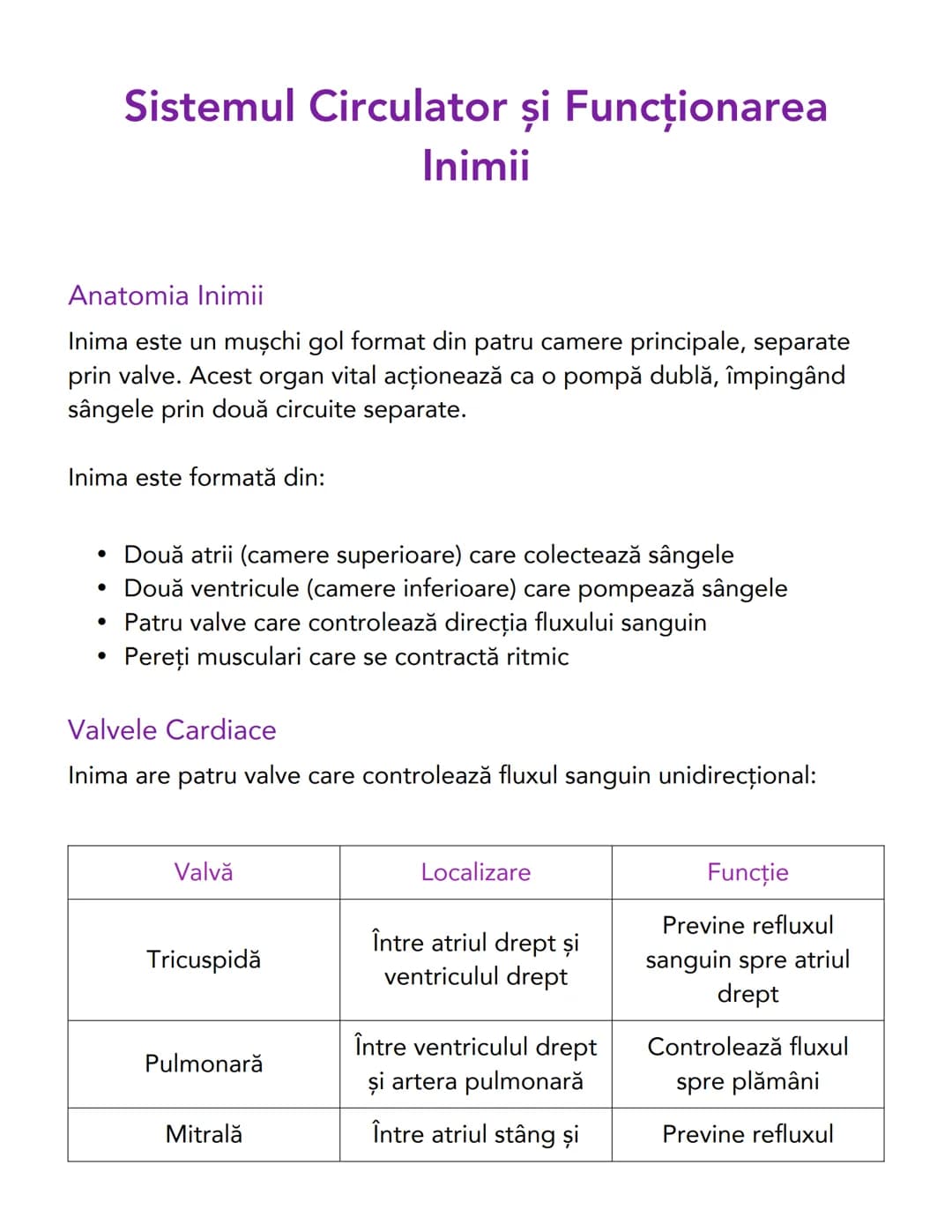# Sistemul Circulator și Funcționarea
Inimii

# Anatomia Inimii
Inima este un mușchi gol format din patru camere principale, separate
prin v