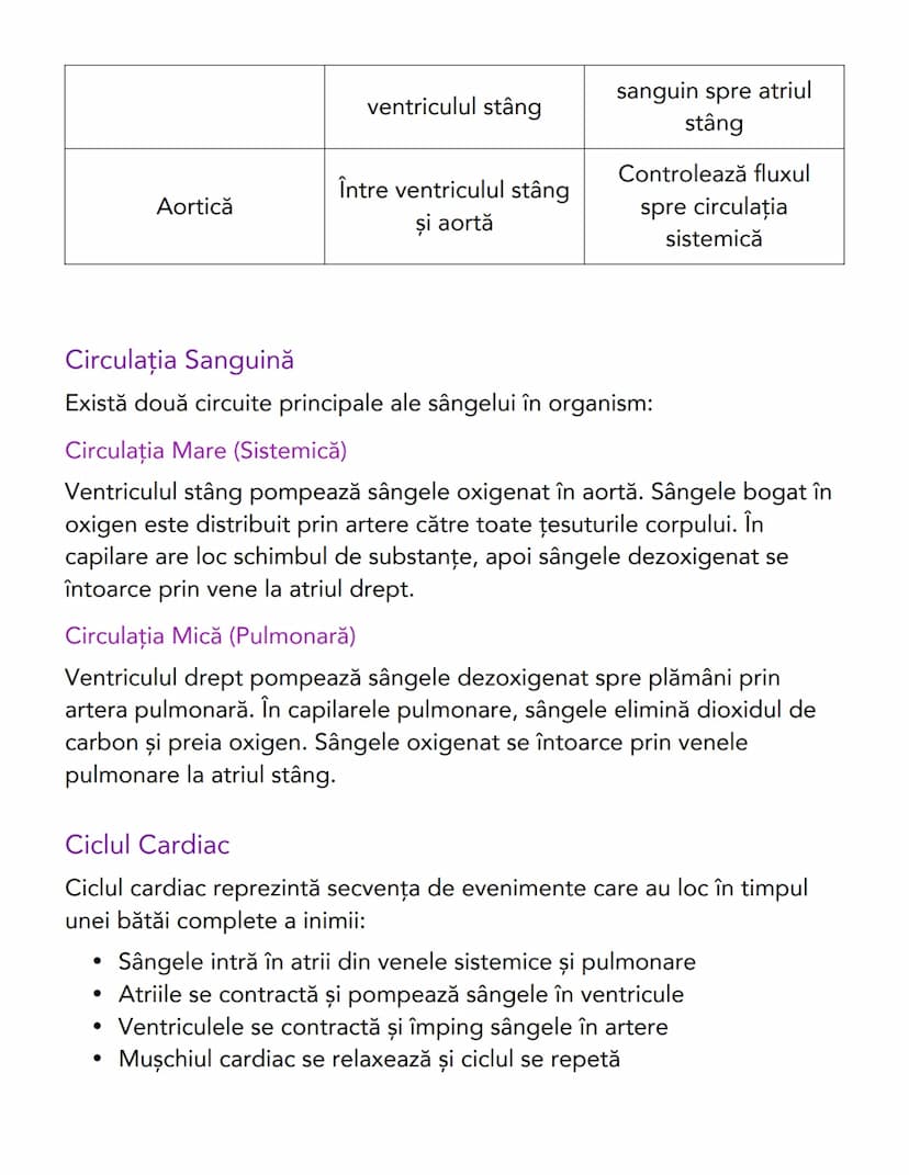 # Sistemul Circulator și Funcționarea
Inimii

# Anatomia Inimii
Inima este un mușchi gol format din patru camere principale, separate
prin v