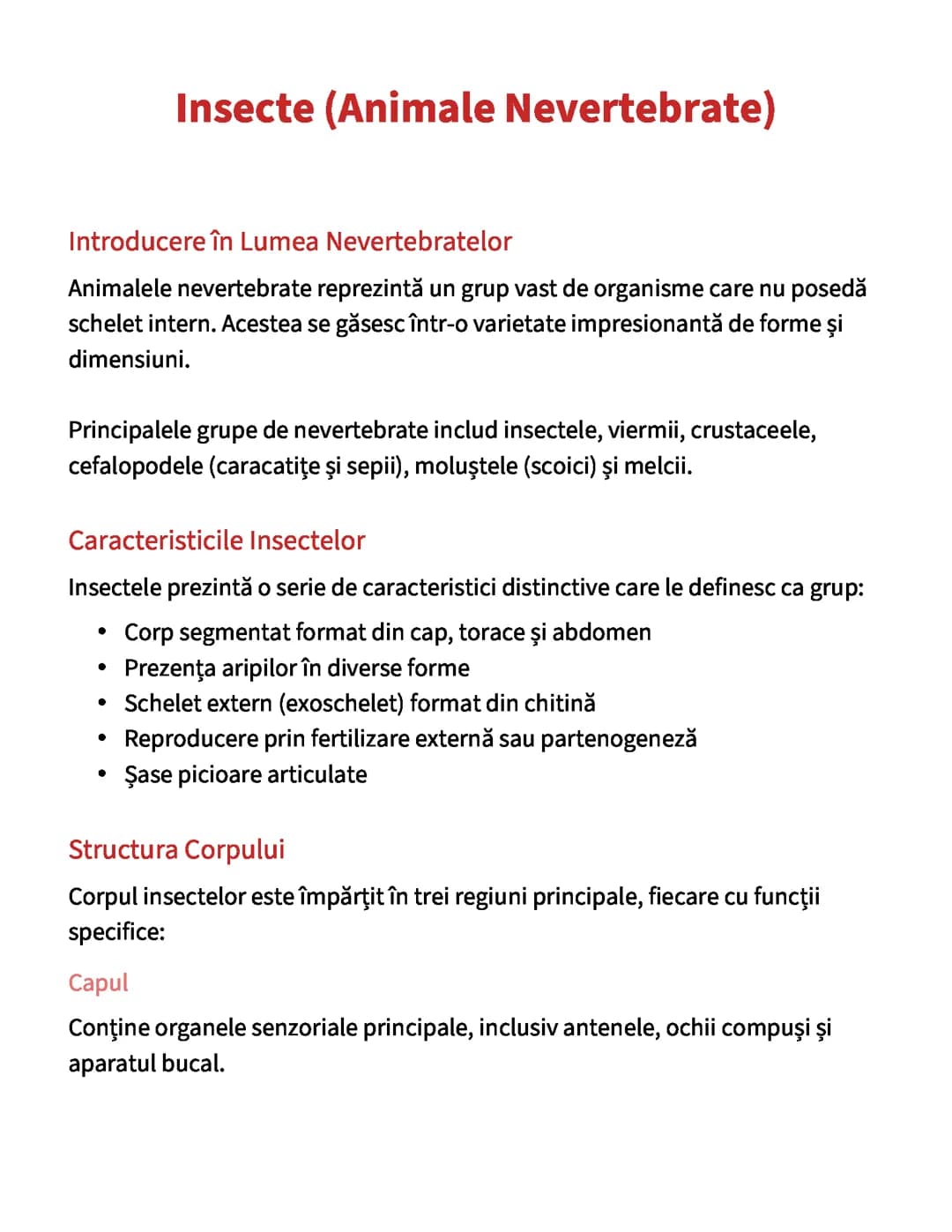 Insecte (Animale Nevertebrate)
