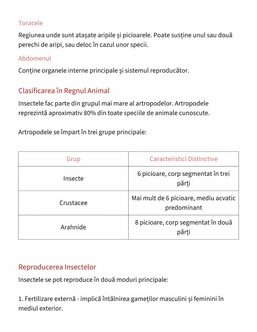 # Insecte (Animale Nevertebrate)

Introducere în Lumea Nevertebratelor
Animalele nevertebrate reprezintă un grup vast de organisme care nu p