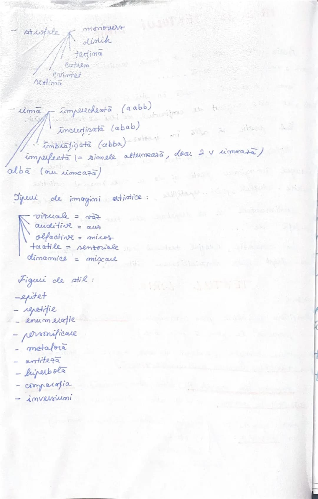 Lectura - "Fram, ursul polar" - Cezar Petrescu
(Este vorba despre un băiețel, Petrus, care de dragul
lui Fram este tot mai interesat de cărț