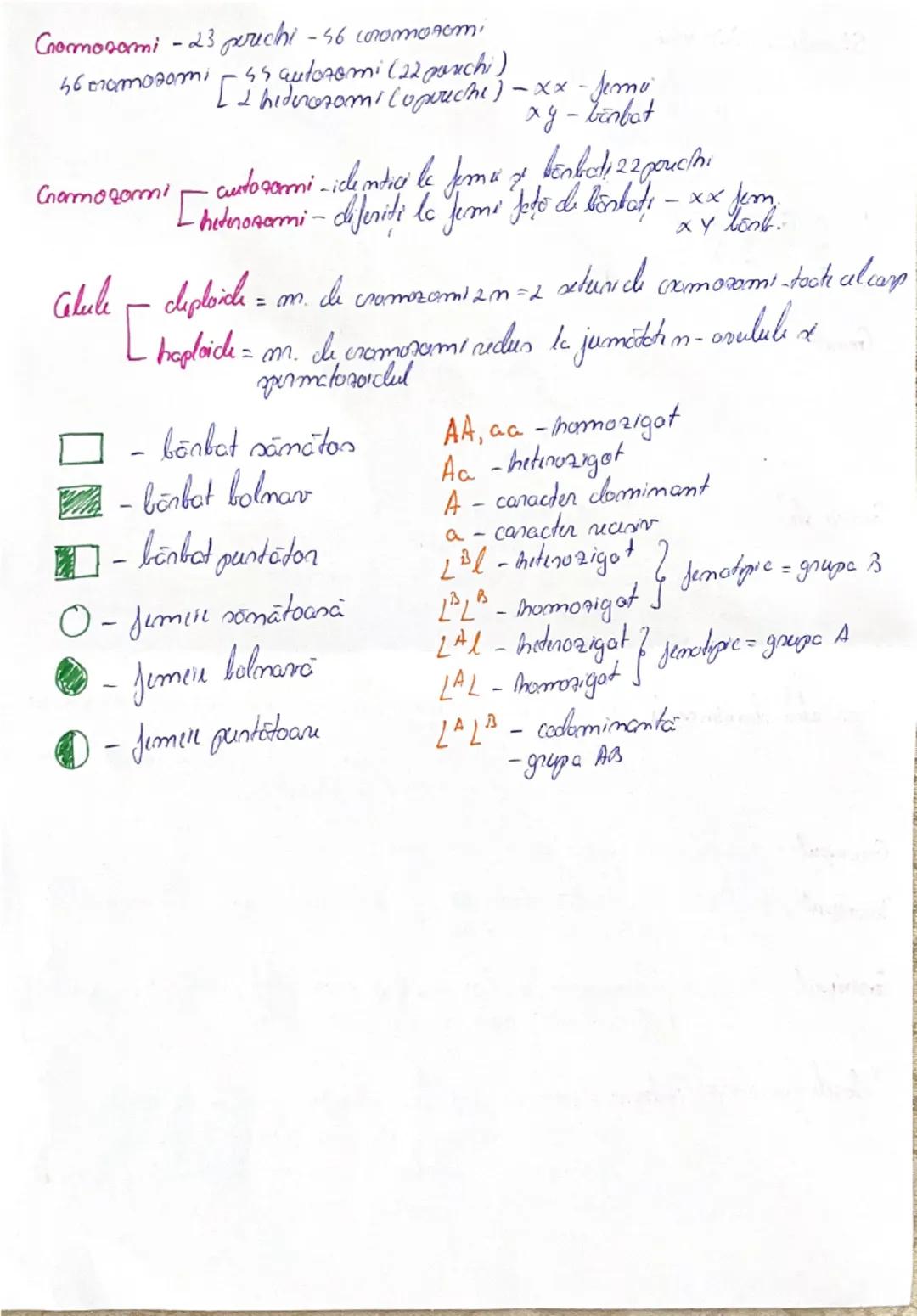 Structura ADN-ului
- nucleotida - zahar-dezaxınibaro
 - fosfat
Enadical Jostot punimice - Adlemima (A))

GCTA
all
GCGAT

- primidinica - Cit