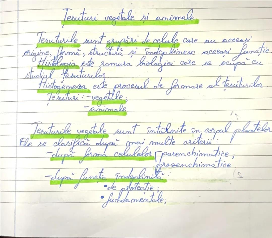 Tesuturi vegetale si animale 
