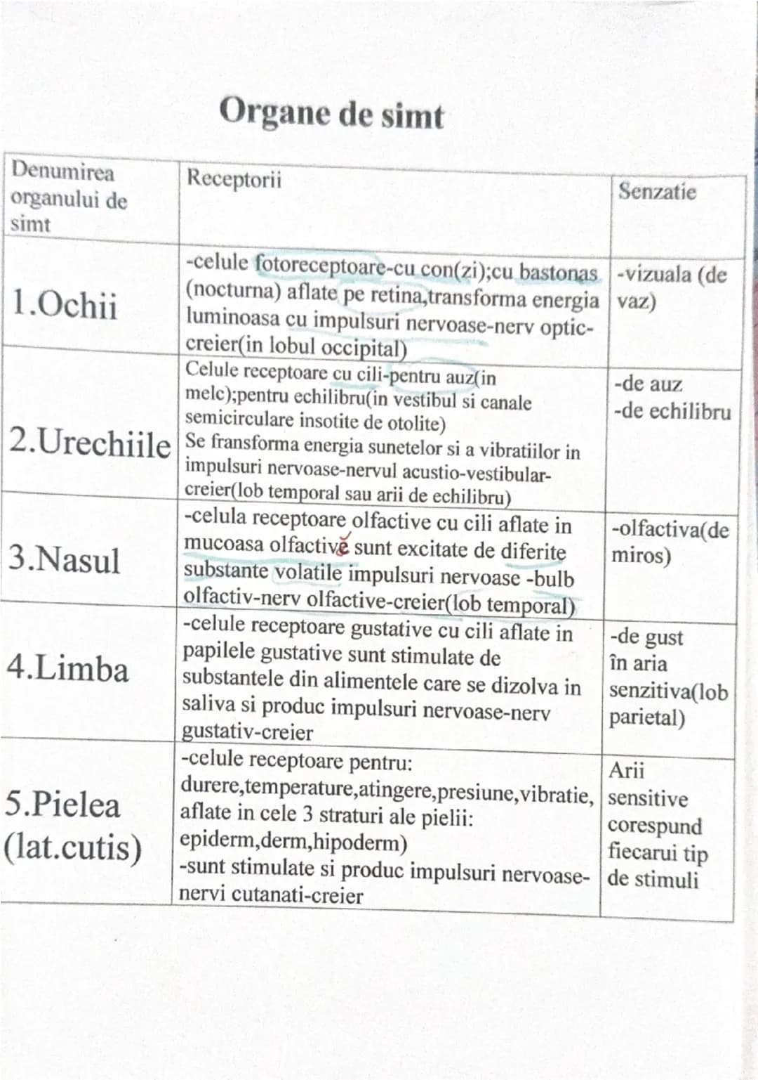 # Organe de simt

| Denumirea organului de simt | Receptorii | Senzatie |
|---|---|---|
| 1.Ochii | -celule fotoreceptoare-cu con(zi);cu bas