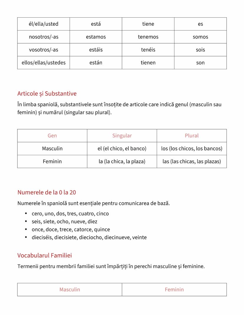 --- OCR Start ---
Limba Spaniolă - Gramatică și Vocabular de Bază
Conjugarea Verbelor Regulate
Verbele regulate în limba spaniolă se împart 