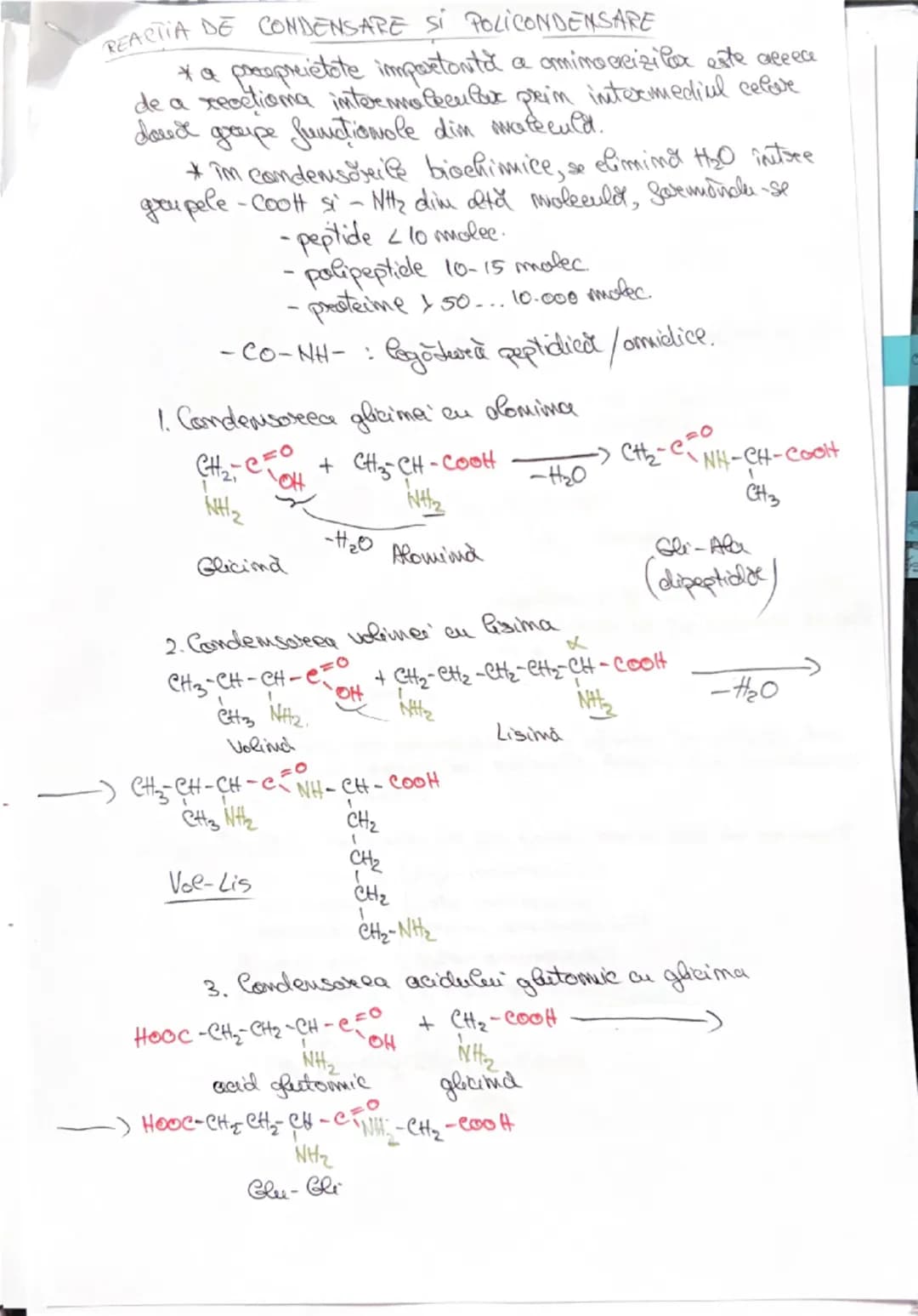 --- OCR Start ---
AMINOACIZI
• Compusi segomicu cu
Sumeticumi mixte, confim:
R-CH-COOH
NH2
-_{C_{OH}}^{=0}
grupa coreboxil
(acid)
si
-M_{2}

