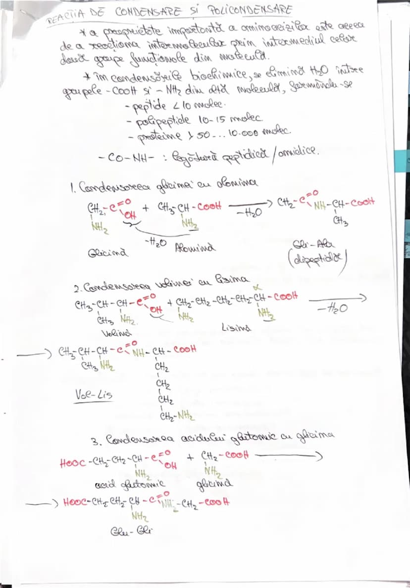 --- OCR Start ---
AMINOACIZI
• Compusi segomicu cu
Sumeticumi mixte, confim:
R-CH-COOH
NH2
-_{C_{OH}}^{=0}
grupa coreboxil
(acid)
si
-M_{2}
