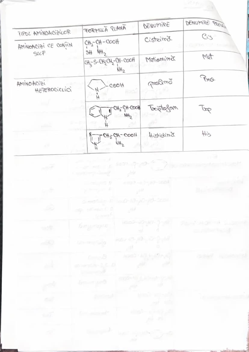 --- OCR Start ---
AMINOACIZI
• Compusi segomicu cu
Sumeticumi mixte, confim:
R-CH-COOH
NH2
-_{C_{OH}}^{=0}
grupa coreboxil
(acid)
si
-M_{2}
