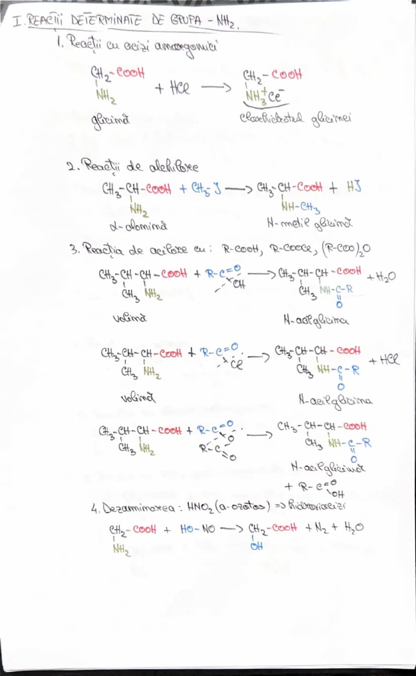 --- OCR Start ---
AMINOACIZI
• Compusi segomicu cu
Sumeticumi mixte, confim:
R-CH-COOH
NH2
-_{C_{OH}}^{=0}
grupa coreboxil
(acid)
si
-M_{2}
