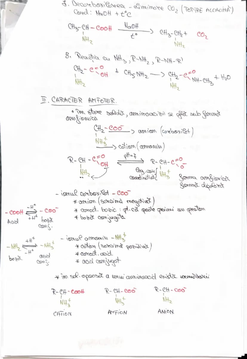 --- OCR Start ---
AMINOACIZI
• Compusi segomicu cu
Sumeticumi mixte, confim:
R-CH-COOH
NH2
-_{C_{OH}}^{=0}
grupa coreboxil
(acid)
si
-M_{2}
