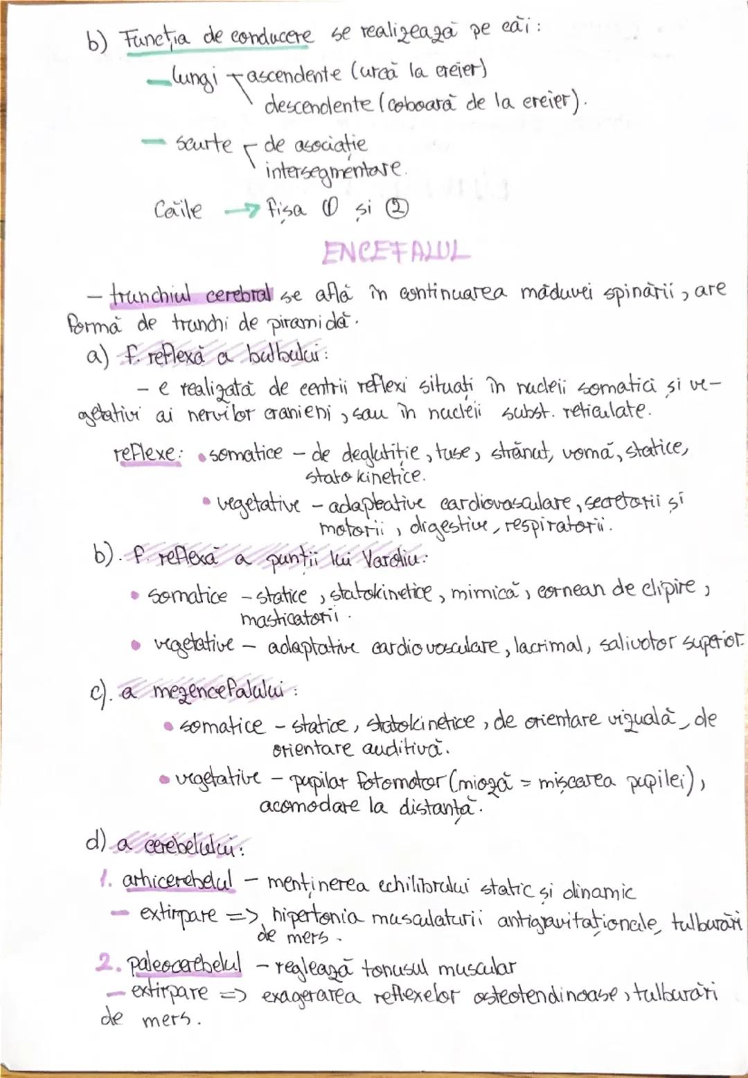 # 1. ALCATUIREA CORPULUI
UMAN

Segmentele corpolai aman:

1. CAP newscrania-adăposteste ereierul
viecerocraniu - adăposteste segmentele peri