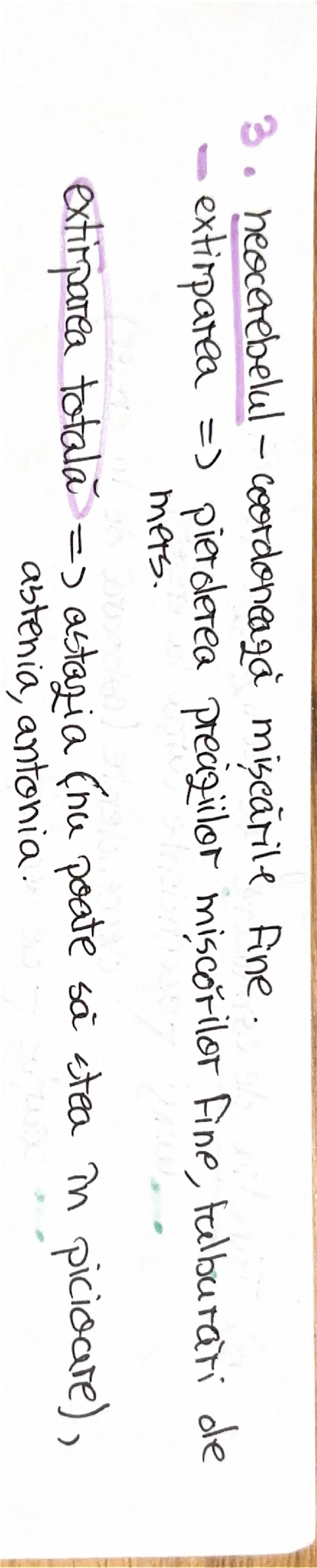 # 1. ALCATUIREA CORPULUI
UMAN

Segmentele corpolai aman:

1. CAP newscrania-adăposteste ereierul
viecerocraniu - adăposteste segmentele peri