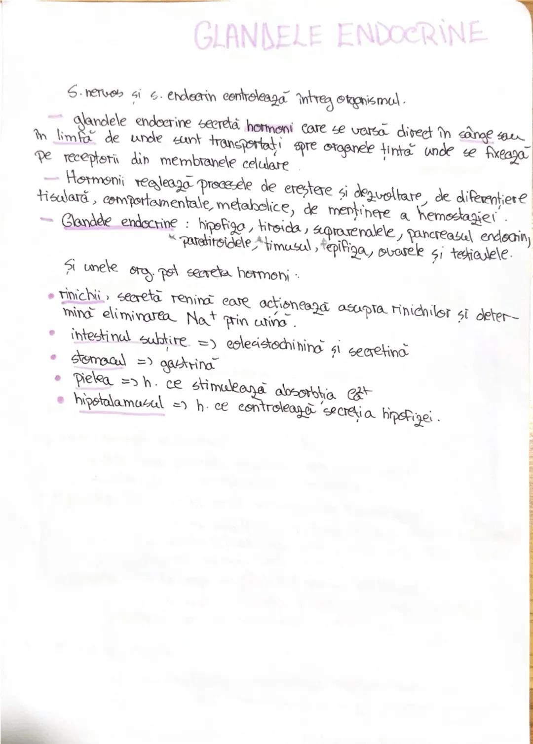 # 1. ALCATUIREA CORPULUI
UMAN

Segmentele corpolai aman:

1. CAP newscrania-adăposteste ereierul
viecerocraniu - adăposteste segmentele peri