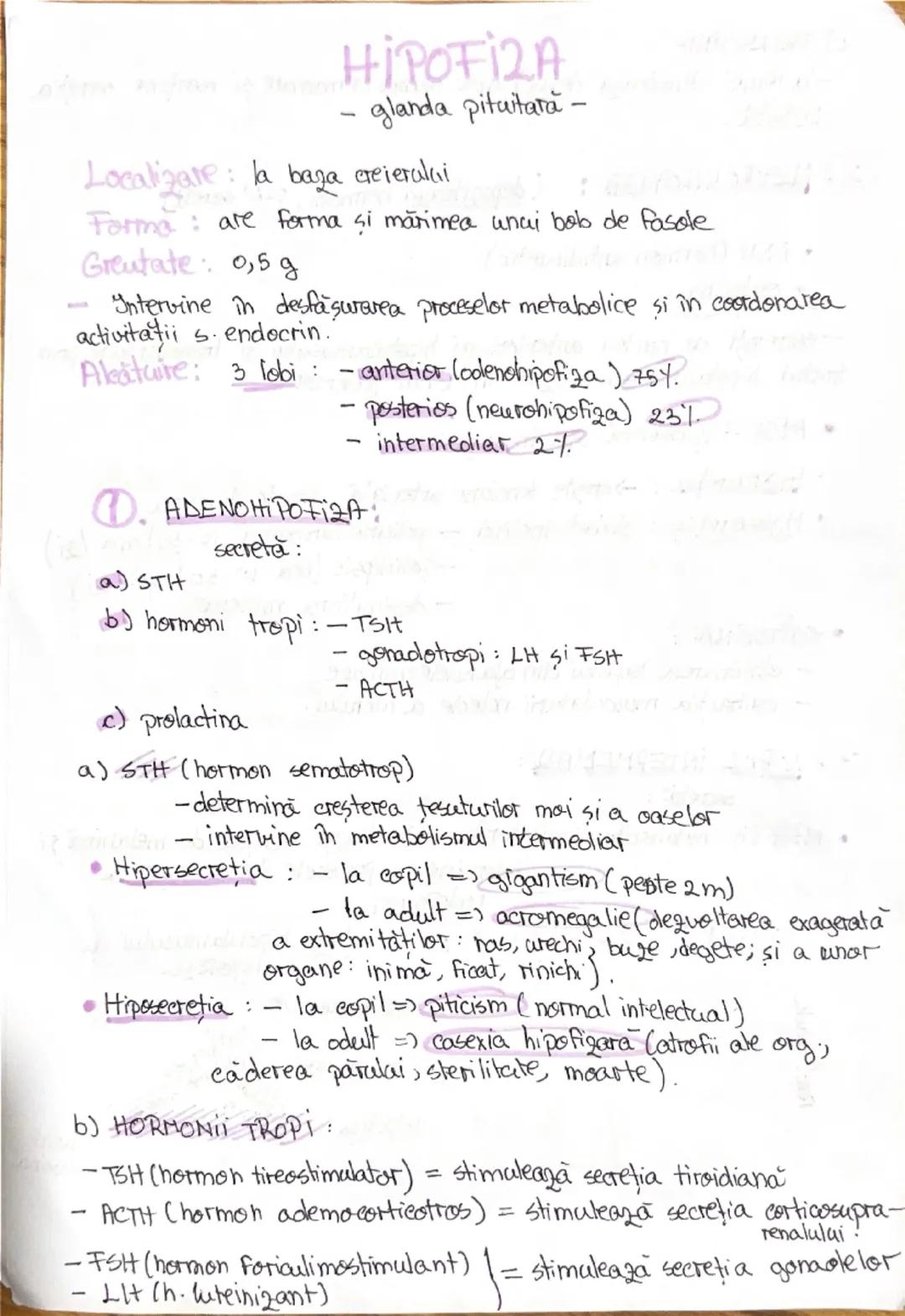 # 1. ALCATUIREA CORPULUI
UMAN

Segmentele corpolai aman:

1. CAP newscrania-adăposteste ereierul
viecerocraniu - adăposteste segmentele peri