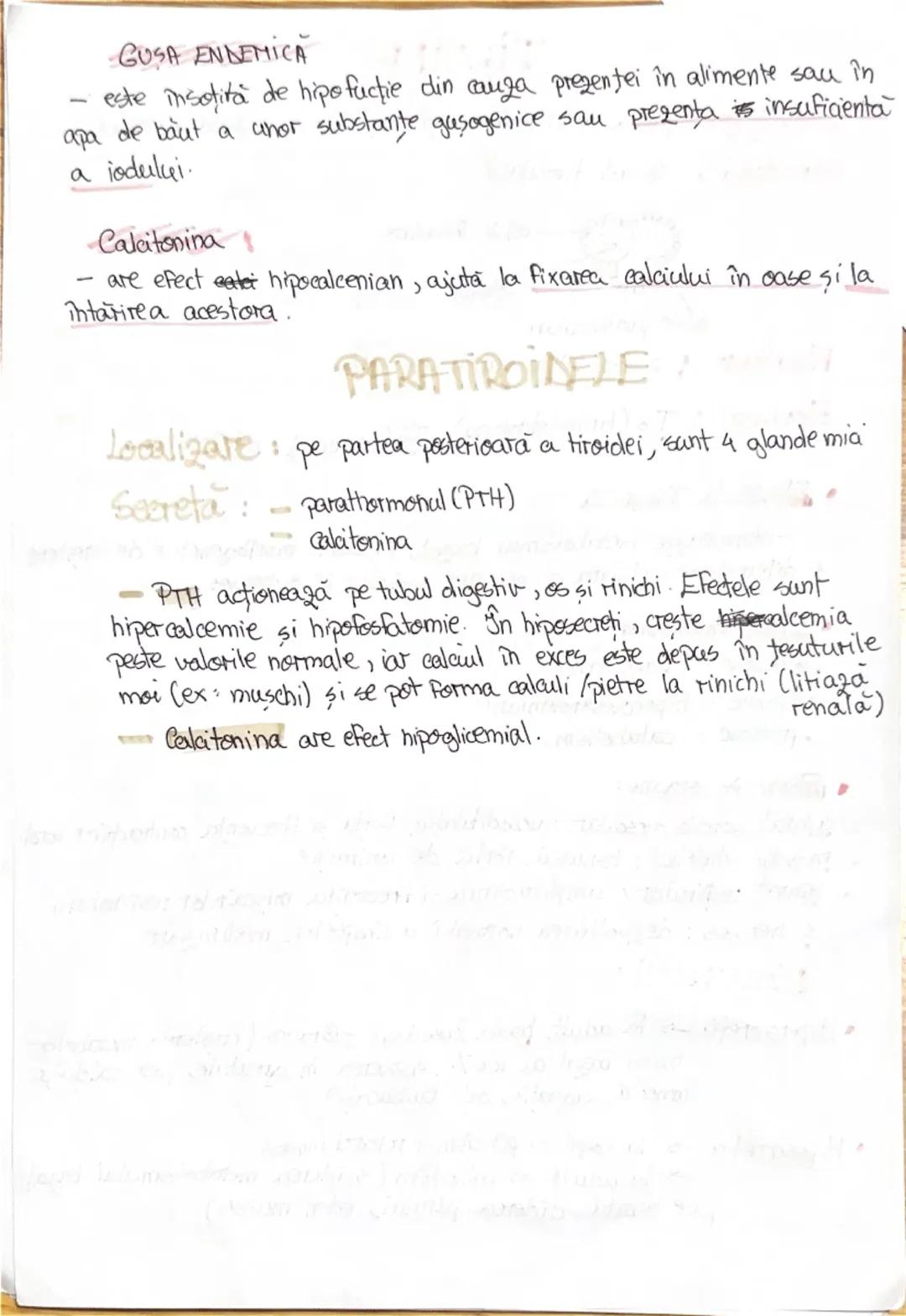 # 1. ALCATUIREA CORPULUI
UMAN

Segmentele corpolai aman:

1. CAP newscrania-adăposteste ereierul
viecerocraniu - adăposteste segmentele peri