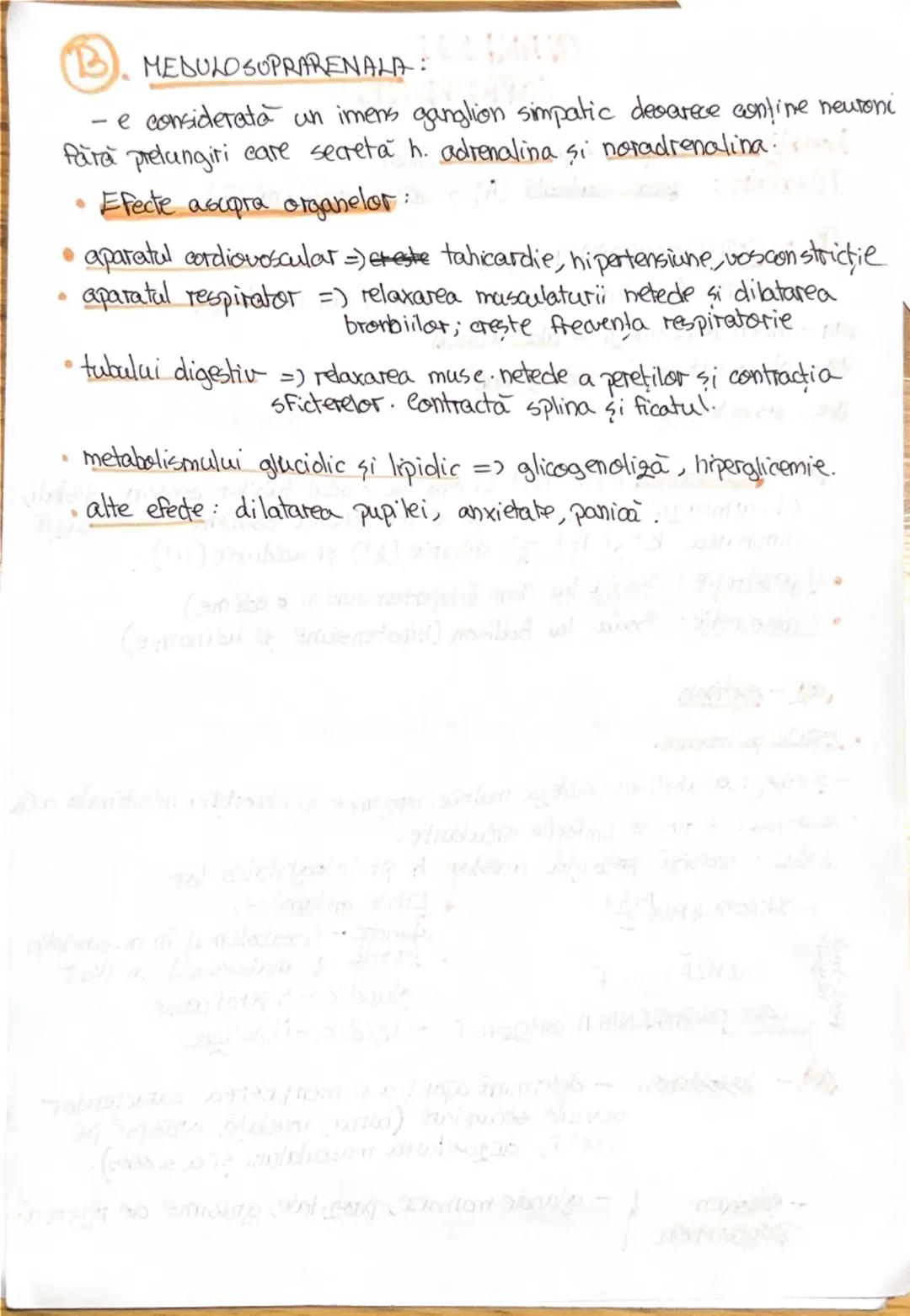 # 1. ALCATUIREA CORPULUI
UMAN

Segmentele corpolai aman:

1. CAP newscrania-adăposteste ereierul
viecerocraniu - adăposteste segmentele peri