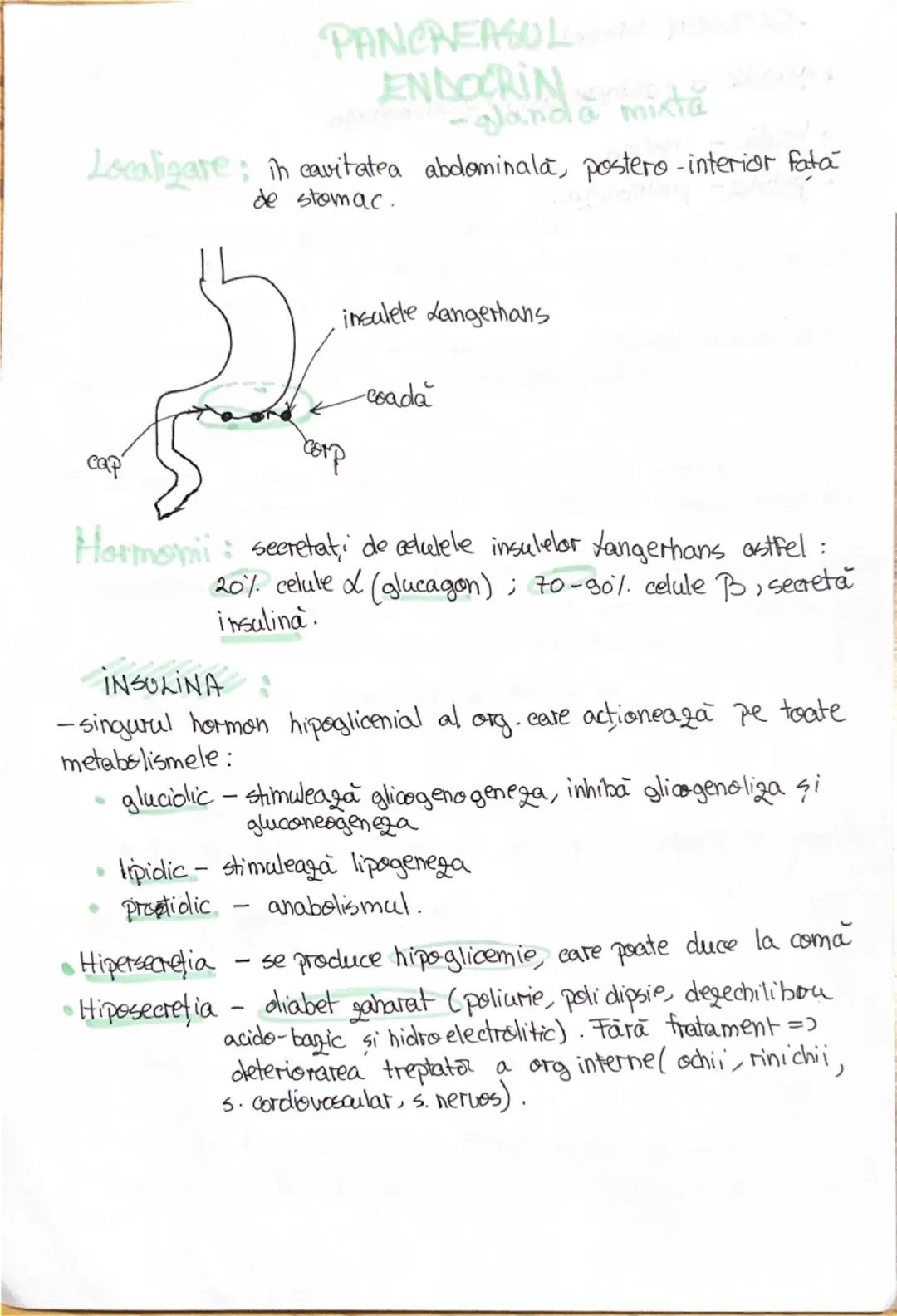 # 1. ALCATUIREA CORPULUI
UMAN

Segmentele corpolai aman:

1. CAP newscrania-adăposteste ereierul
viecerocraniu - adăposteste segmentele peri