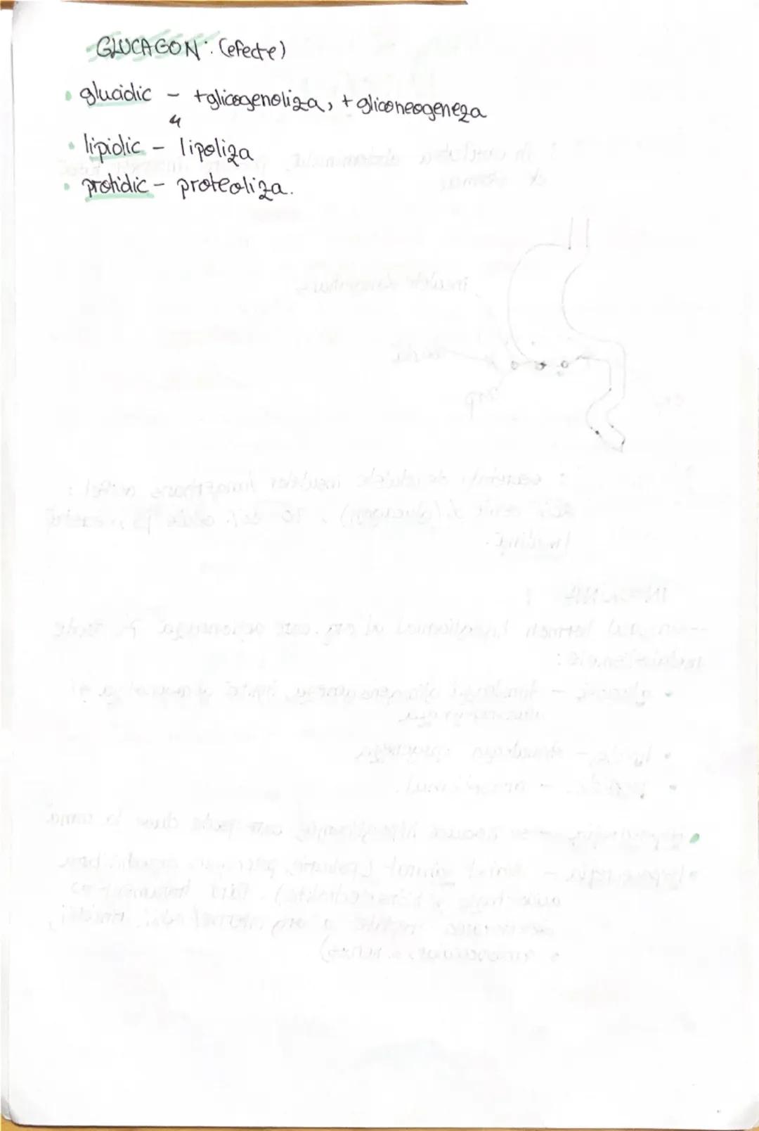 # 1. ALCATUIREA CORPULUI
UMAN

Segmentele corpolai aman:

1. CAP newscrania-adăposteste ereierul
viecerocraniu - adăposteste segmentele peri