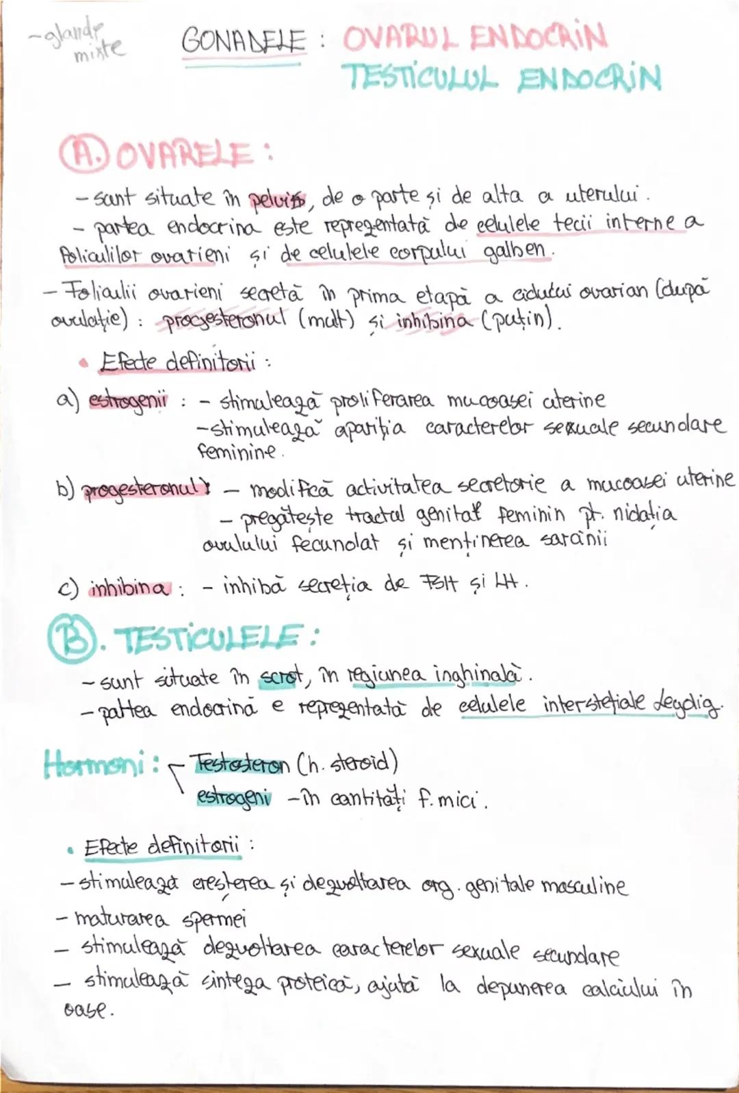 # 1. ALCATUIREA CORPULUI
UMAN

Segmentele corpolai aman:

1. CAP newscrania-adăposteste ereierul
viecerocraniu - adăposteste segmentele peri
