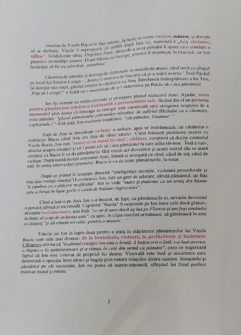 # Caracterizarea lui Ion
Publicat în 1920, romanul *Ion* reprezintă primul roman al lui Liviu Rebreanu,
o capodoperă care înfăţişesză univer