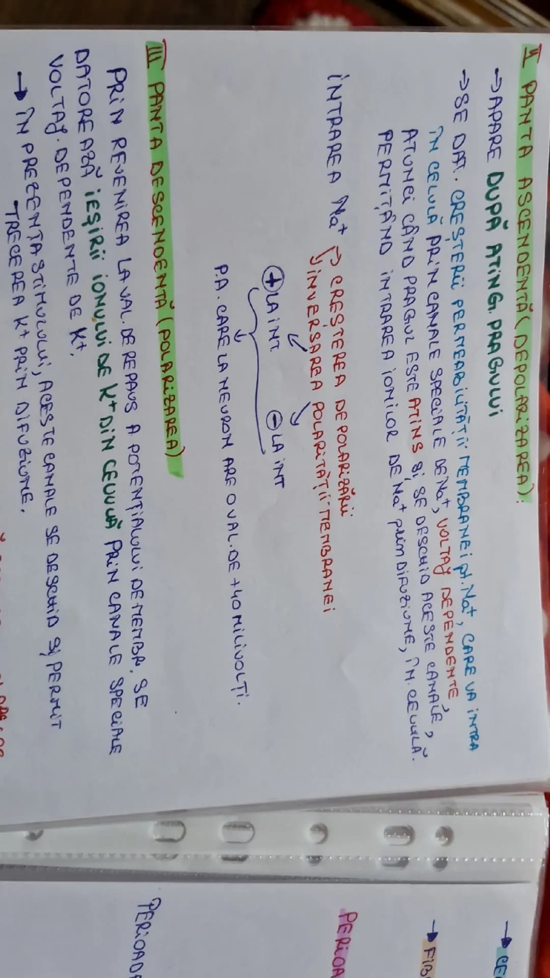 --- OCR Start ---
DE Ho, K^{+}=7R.ACTiv DE TIP SECUNDAR (C
Potentialul de actiune (PA)
DIF TEMPORARA A POTENTIALULUI DE REPAUS MEMBRANAR
GEN
