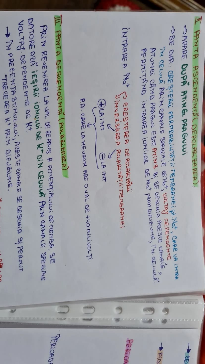 --- OCR Start ---
DE Ho, K^{+}=7R.ACTiv DE TIP SECUNDAR (C
Potentialul de actiune (PA)
DIF TEMPORARA A POTENTIALULUI DE REPAUS MEMBRANAR
GEN
