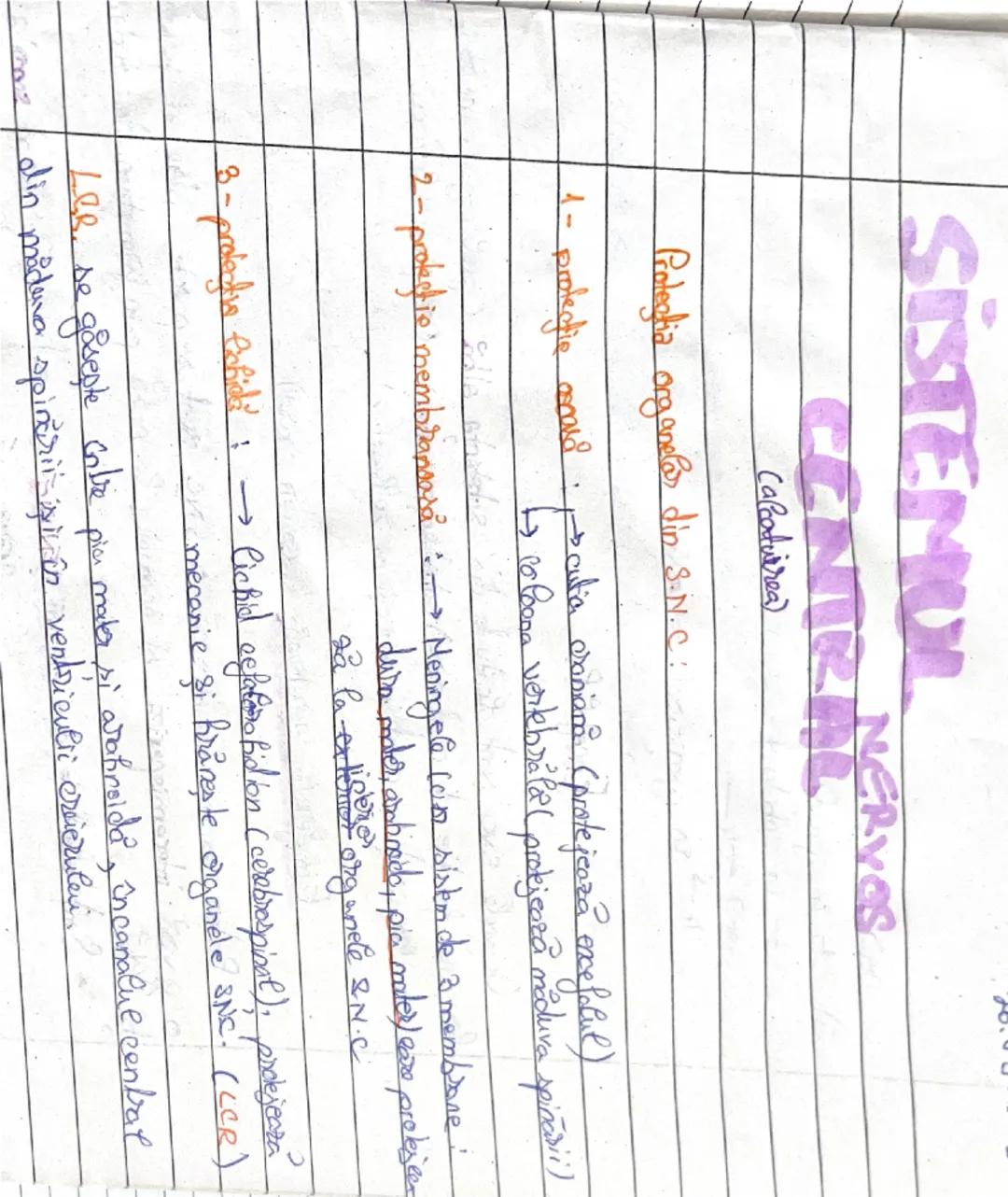 21.03.2023
# NEURONUL
(celula novoasa)

Neuronal- unitatea structurales si functionals a fesutulini novers. E un tip
special de celula capab